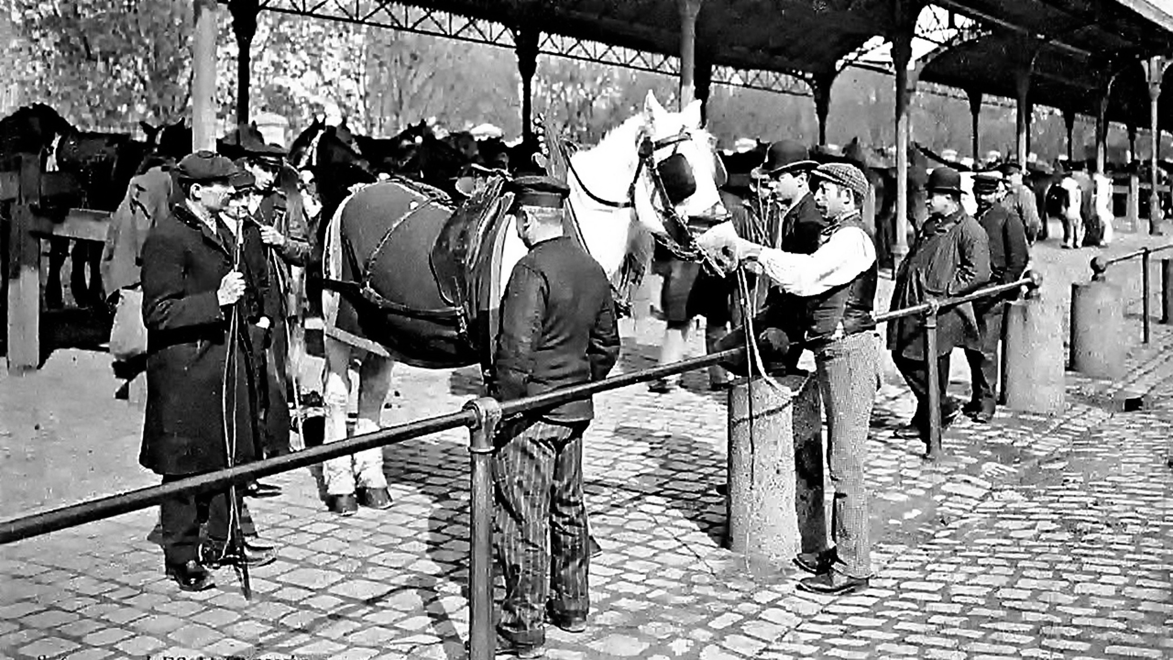 Un truc de faux maquignon